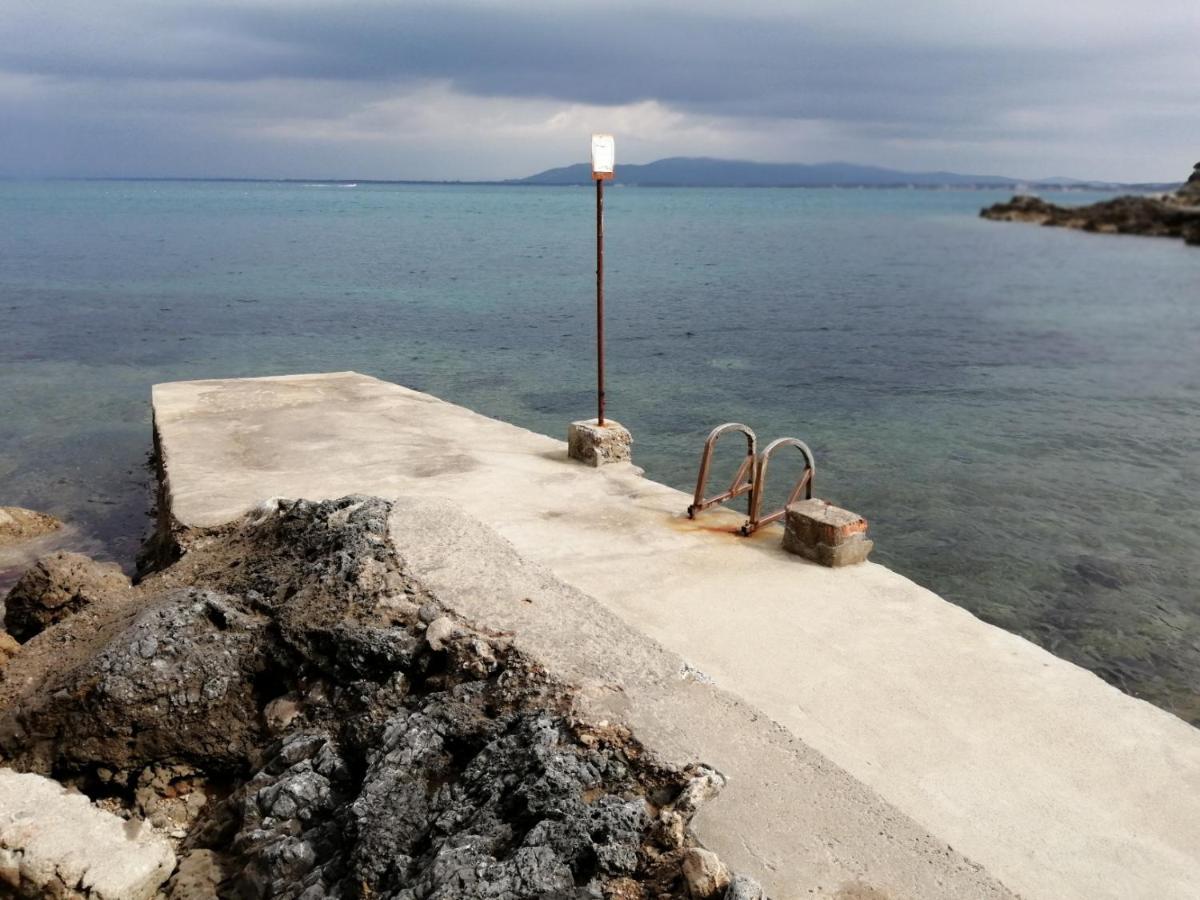 Villa Flora Argentario Порто Санто Стефано Екстериор снимка