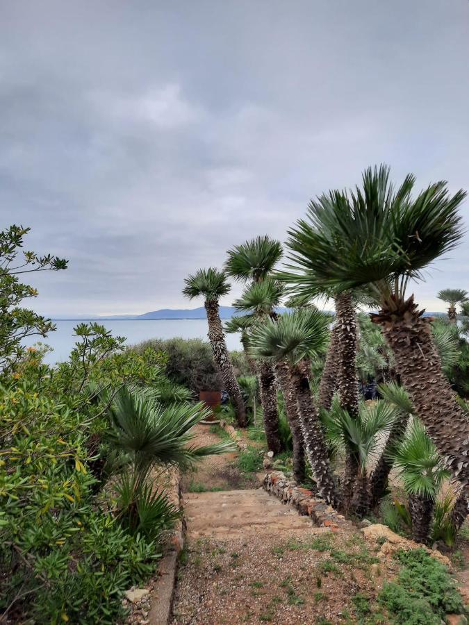 Villa Flora Argentario Порто Санто Стефано Екстериор снимка